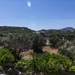 Tivoli 3* Φαληράκι